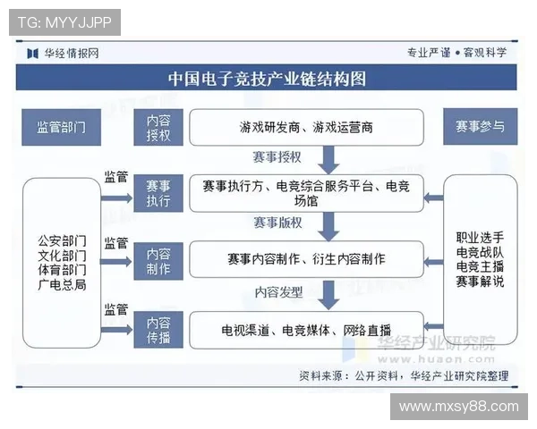 《全球电竞产业加速发展 新兴市场成未来增长动力》 《全球电竞产业加速发展 新兴市场成未来增长动力》