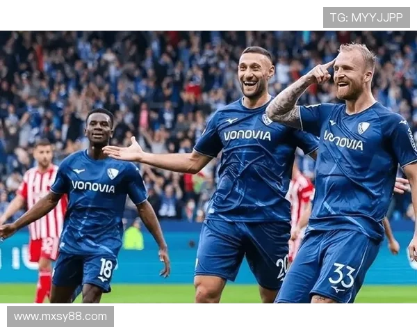 海登海姆俱乐部崛起之路探秘从草根球队到德甲新势力