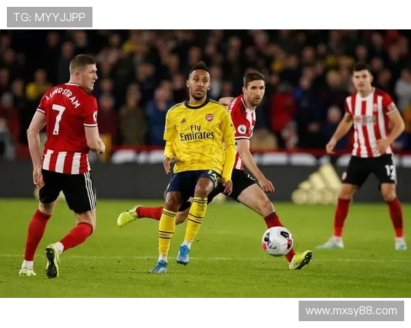 米德尔斯堡足球俱乐部的辉煌历程与未来发展展望